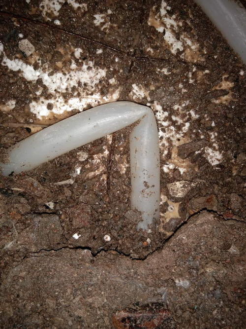 理塘堵点精准查找